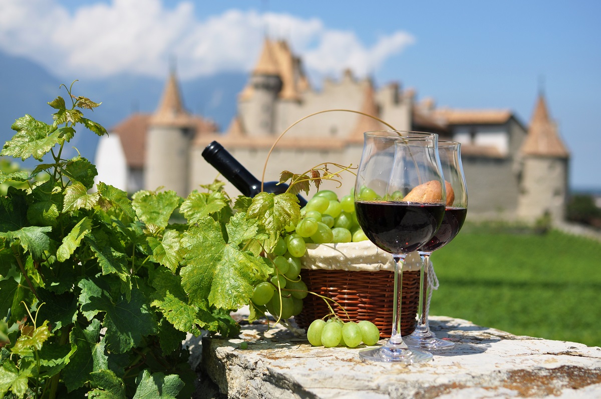 Menjelajahi Surga Anggur: Pengalaman Wine Tasting yang Tak Terlupakan di Prancis